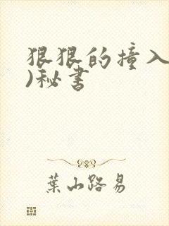 狠狠的撞入(h)秘书