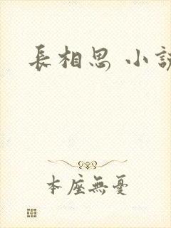 长相思 小说
