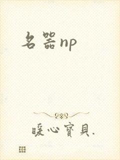 名器np