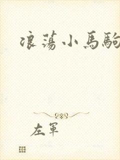 浪荡小马驹