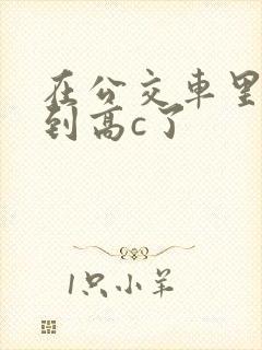 在公交车里c弄到高c了