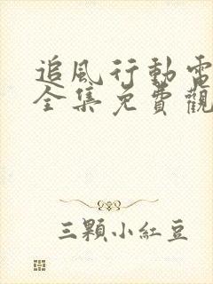 追风行动电视剧全集免费观看