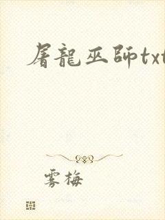 屠龙巫师txt