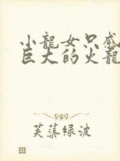 小龙女只感觉那巨大的火龙枪