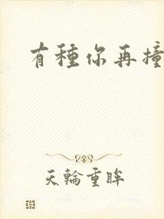 有种你再撞一下