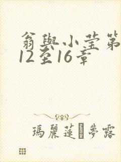 翁与小莹第十部12至16章