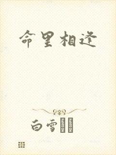 命里相逢
