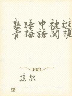 熟睡中被进了H青梅诱哄视频