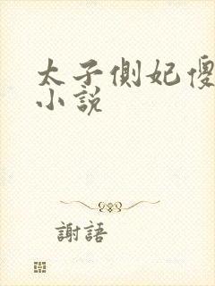 太子侧妃傻乎乎小说