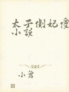 太子侧妃傻乎乎小说