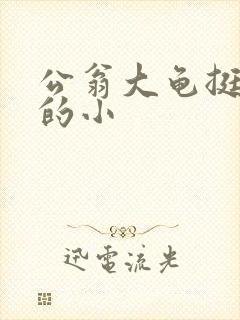公翁大龟挺进我的小