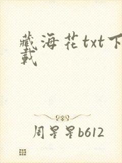 藏海花txt下载
