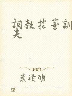 调教花蒂训诫从夫