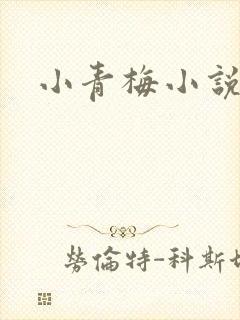 小青梅小说