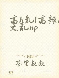 高h乱l高辣h文乱np