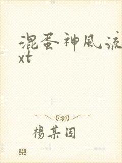 混蛋神风流史txt