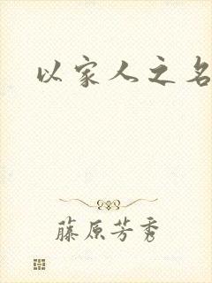 以家人之名小说