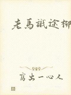 老马识途柳娇娇