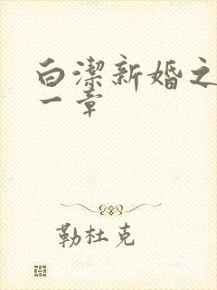 白洁新婚之夜第一章