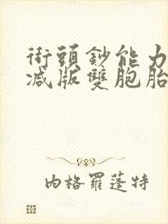 街头钞能力无删减版双胞胎