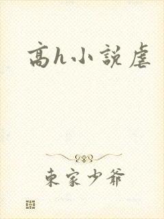 高h小说虐