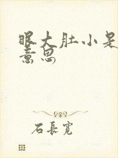 眼大肚小是什么意思