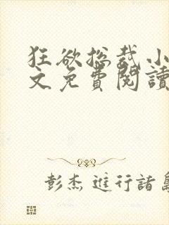 狂欲总裁小说全文免费阅读