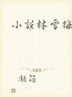 小说林雪梅