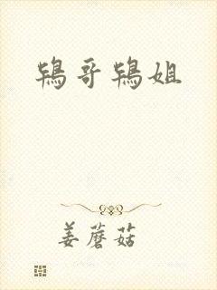 鸨哥鸨姐