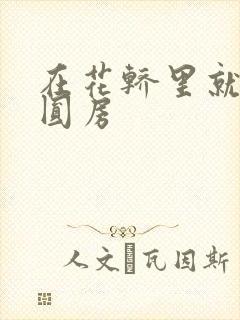 在花轿里就开始圆房