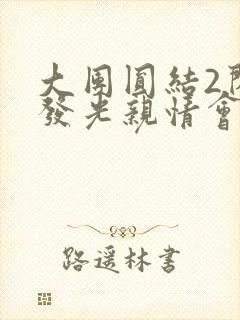 大团圆结2闪闪发光亲情会