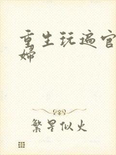 重生玩遍官场贵妇