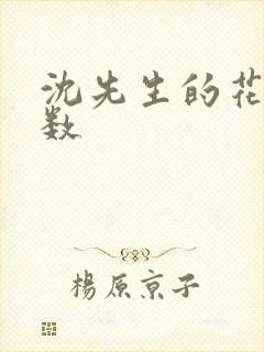 沈先生的花式调数