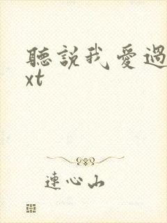 听说我爱过你txt