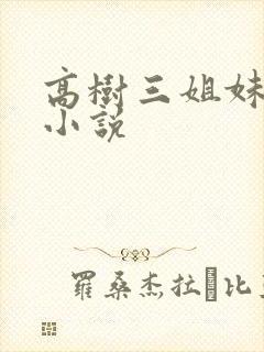 高树三姐妹有声小说