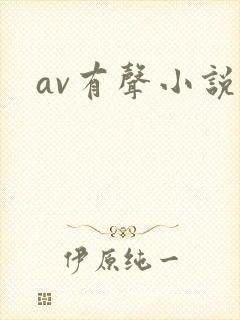 av有声小说