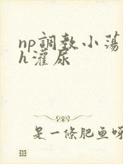 np调教小荡货h灌尿