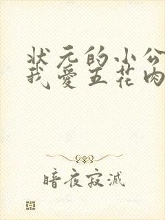 状元的小公主(我爱五花肉)