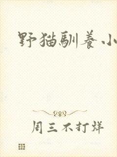 野猫驯养小说