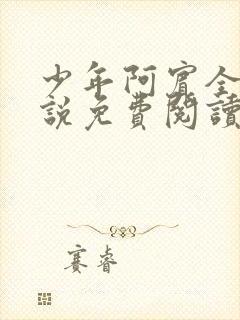 少年阿宾全文小说免费阅读笔趣阁