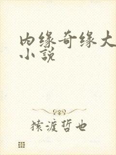 内缘奇缘大团圆小说