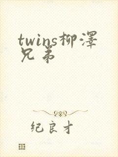 twins柳泽兄弟