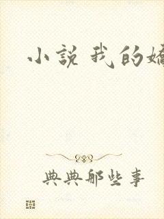 小说 我的娇妻