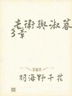 老卫与淑蓉第13章