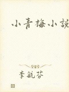 小青梅小说