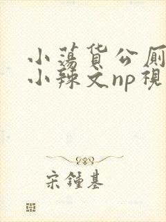 小荡货公厕h文小辣文np视频