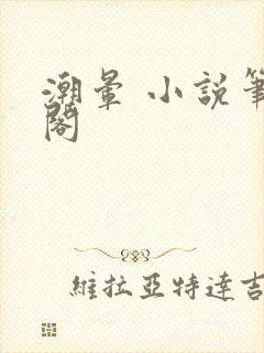 潮晕 小说笔趣阁