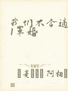 我们不合适1v1军婚
