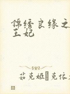 锦绣良缘之北地王妃