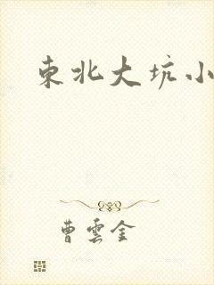 东北大坑小说